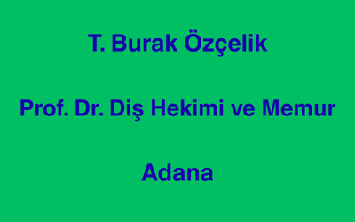 T. Burak Özçelik